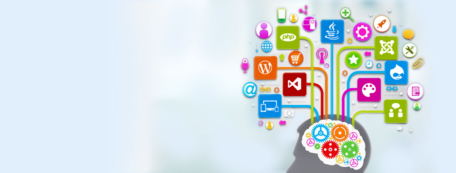 Development Services and Application Support